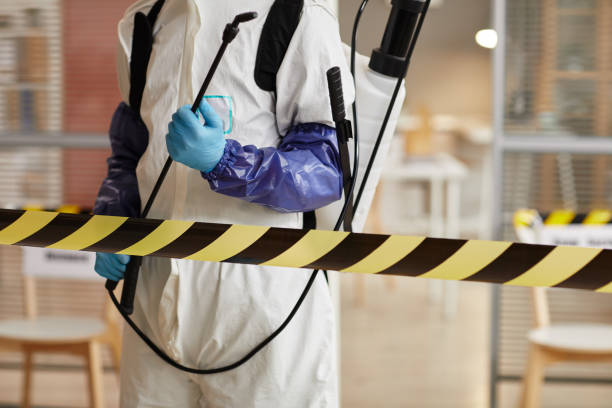Professional Hoarding Cleanup technician working in Hampton, AR